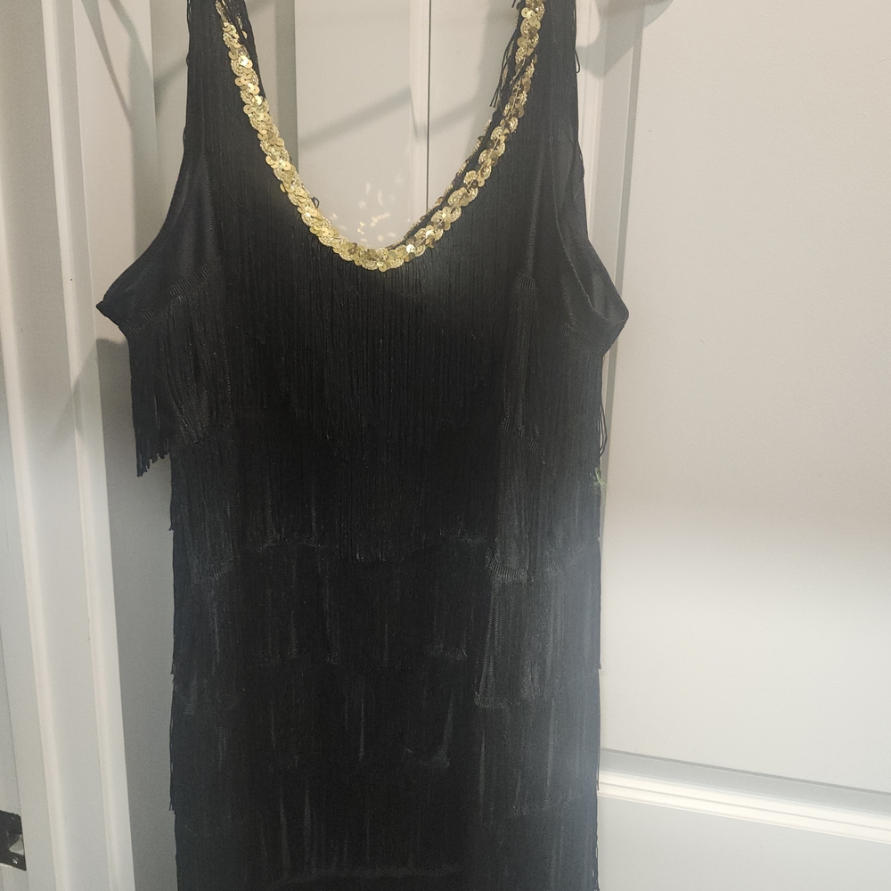 Elegant Black Fringe Dress with Gold Accents. You Can Use For Costume As Well